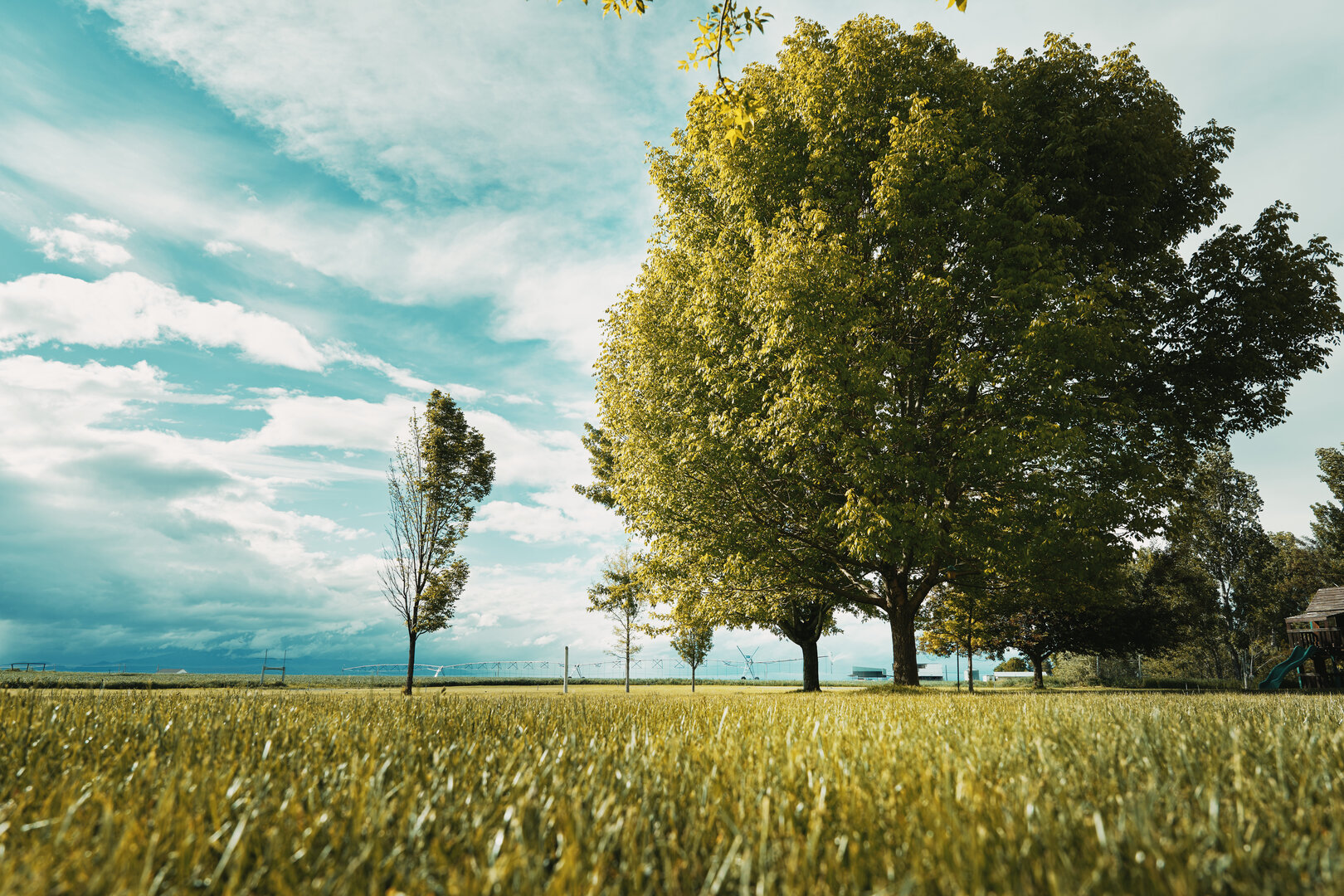 We are professional film studio