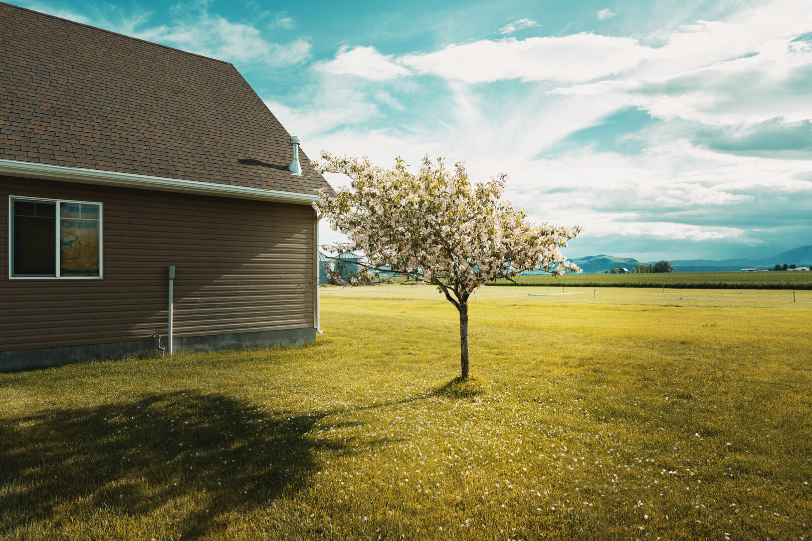 We are professional film studio